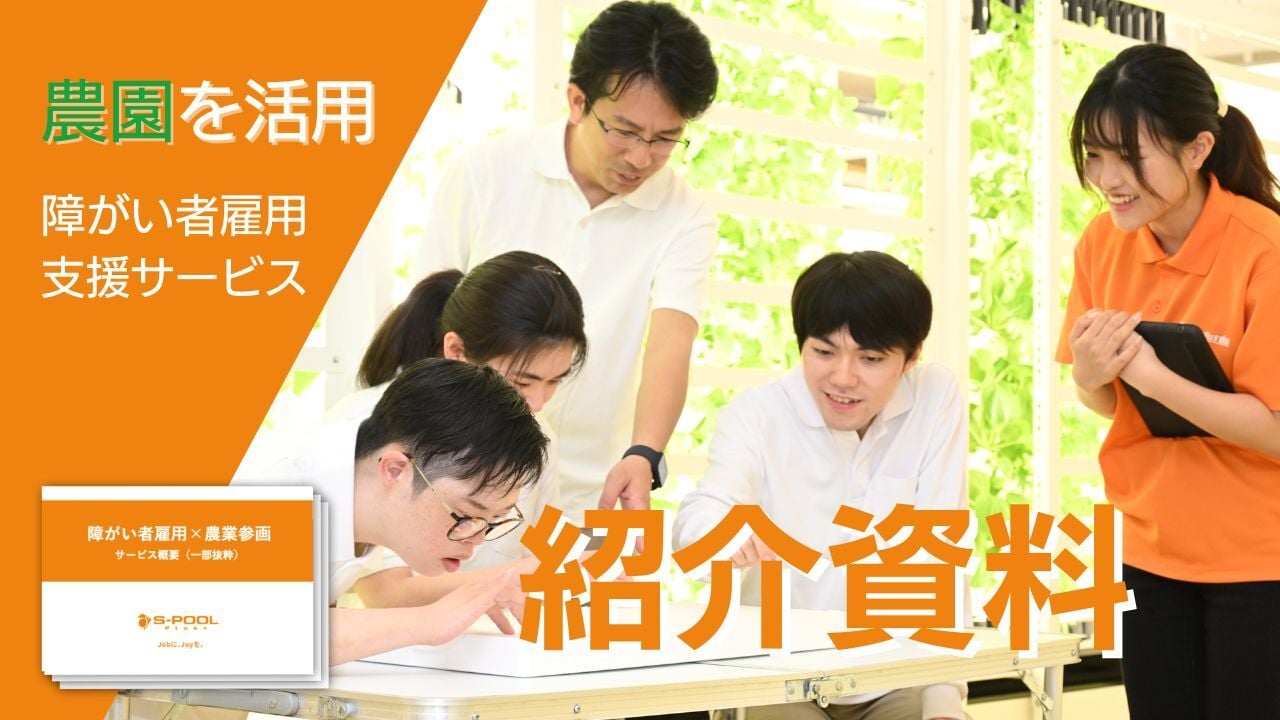 image_document_service250919